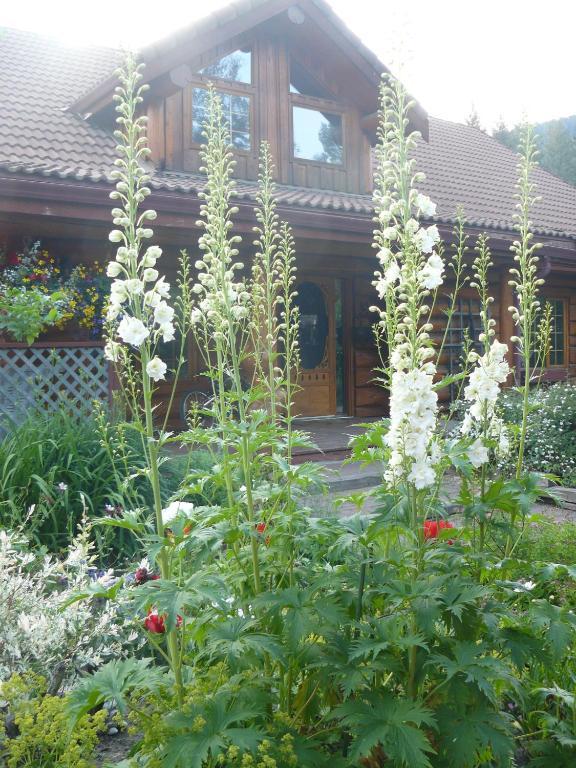 Hitching Post Resort 킬로나 객실 사진